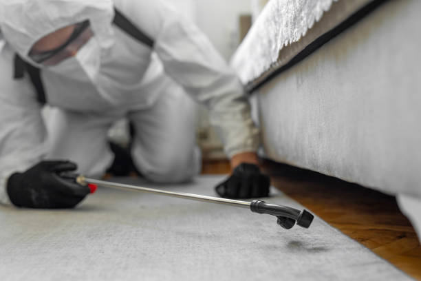 Professional Bed Bug Control technician working in Barclay, NJ
