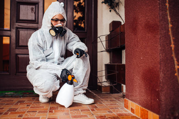 Reliable Bed Bug Control contractor in Barclay, NJ by Nex Pest Control
