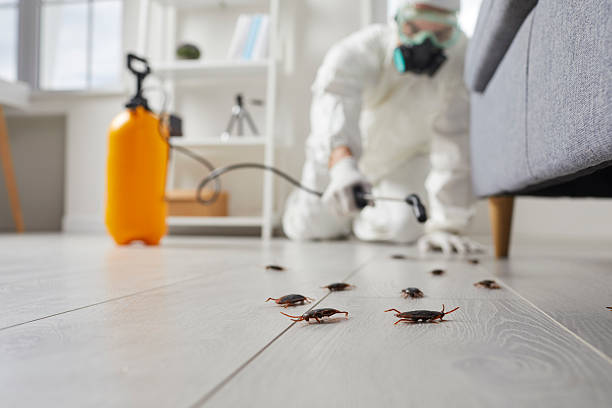 Trusted Rodent Control service in Barclay, NJ - Nex Pest Control
