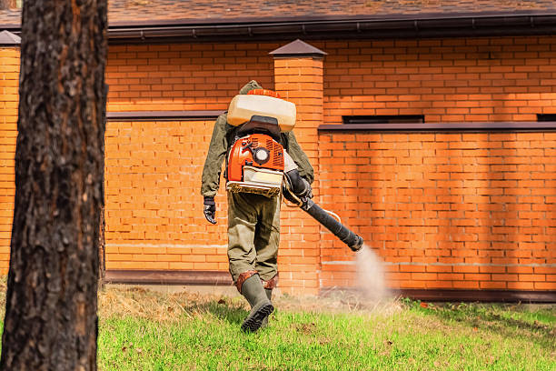 Trusted Cockroach Control service in Barclay, NJ - Nex Pest Control